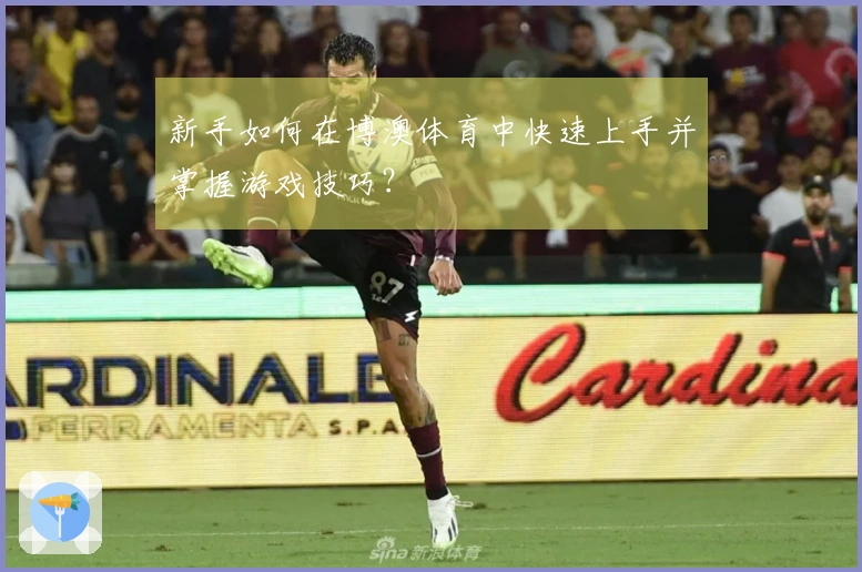 新手如何在博澳体育中快速上手并掌握游戏技巧？