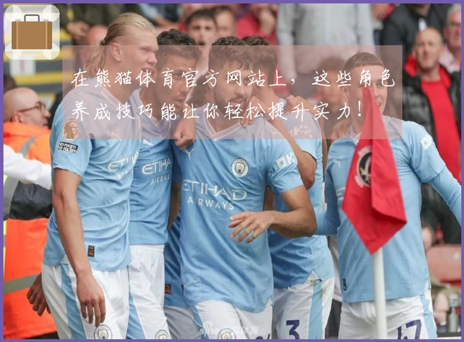 在熊猫体育官方网站上，这些角色养成技巧能让你轻松提升实力！