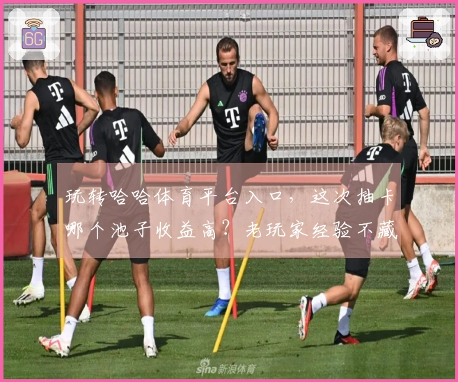 玩转哈哈体育平台入口，这次抽卡哪个池子收益高？老玩家经验不藏私