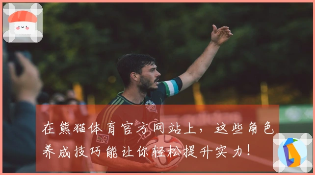 在熊猫体育官方网站上，这些角色养成技巧能让你轻松提升实力！