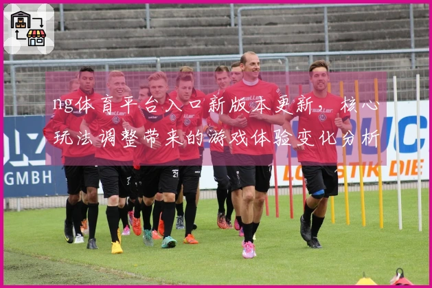ng体育平台入口新版本更新，核心玩法调整带来的游戏体验变化分析